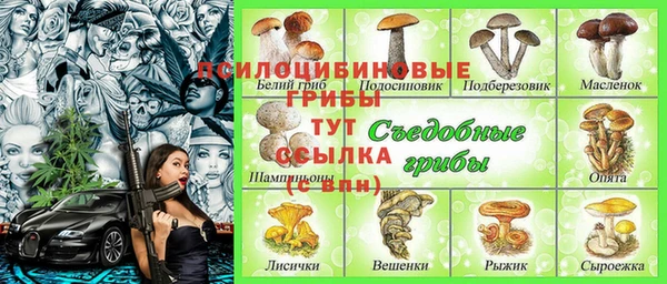 первитин Нея