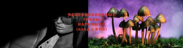 прущая мука Нефтекумск